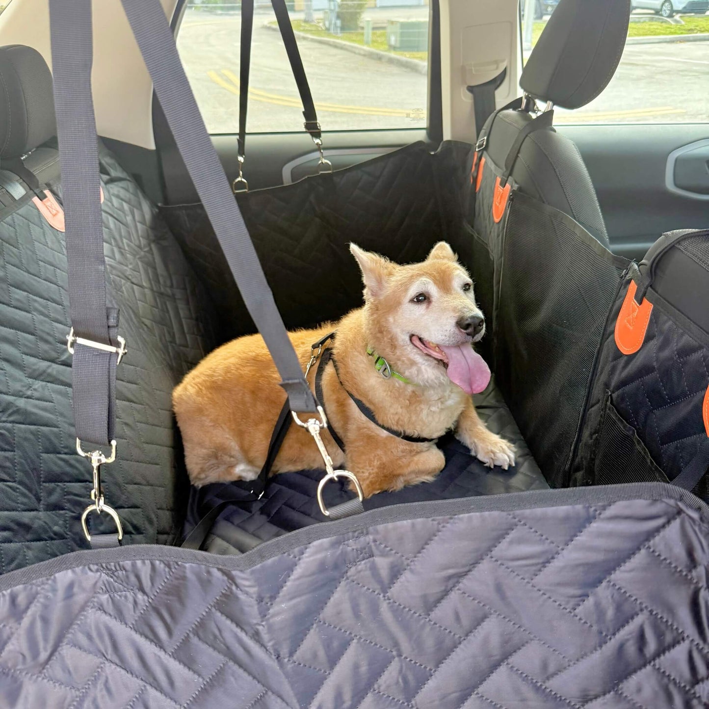 TravelPaw™ — hard base seat cover