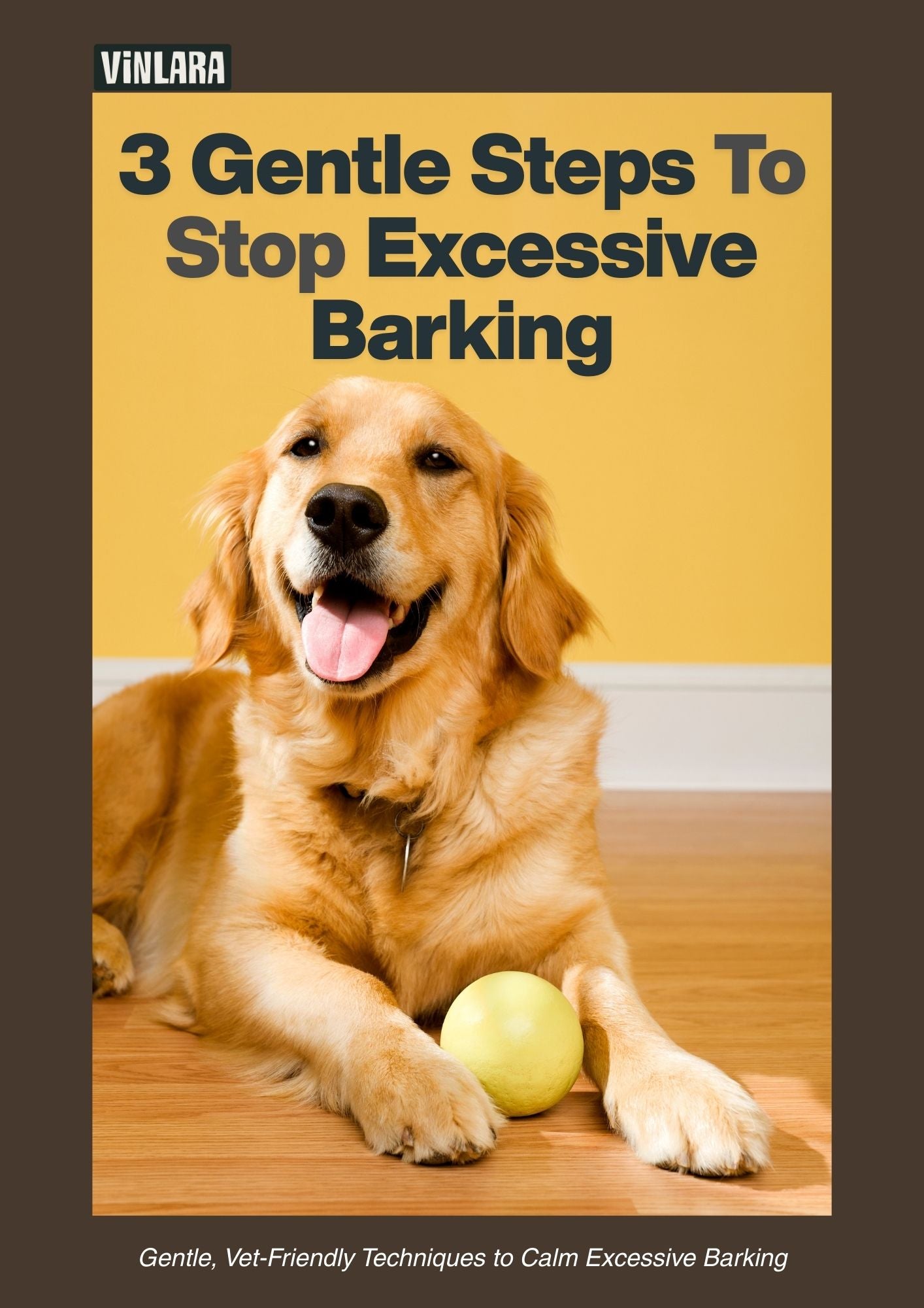 3 gentle ways to stop excessive barking
