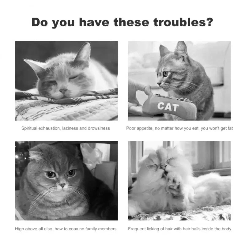 Feathered Catnip Ball