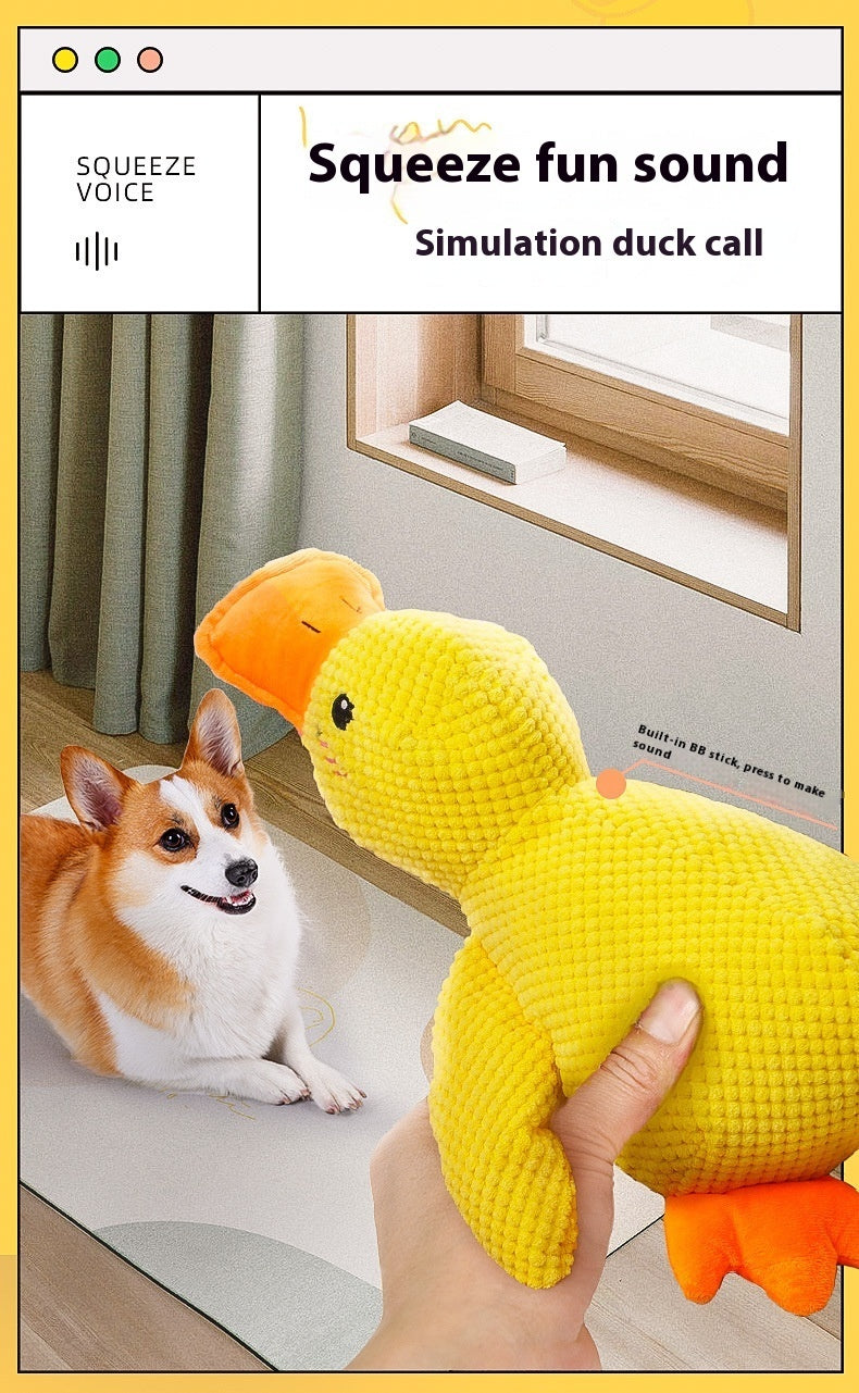 Chewing Duck Toy