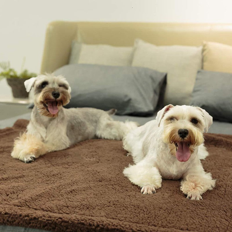Cozy Plush Blanket