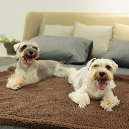 Cozy Plush Blanket
