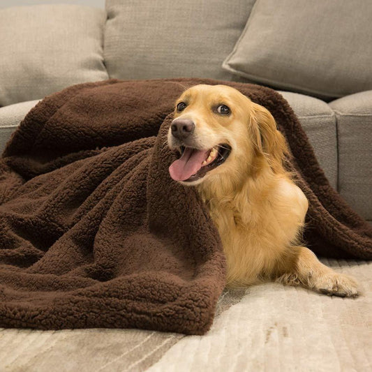 Cozy Plush Blanket
