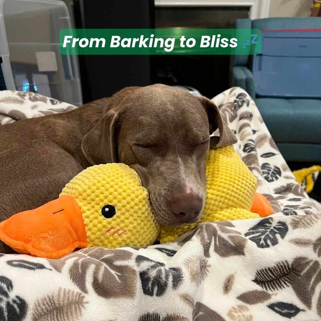 SnuggleDuck™ + FREE Separation Anxiety Guide