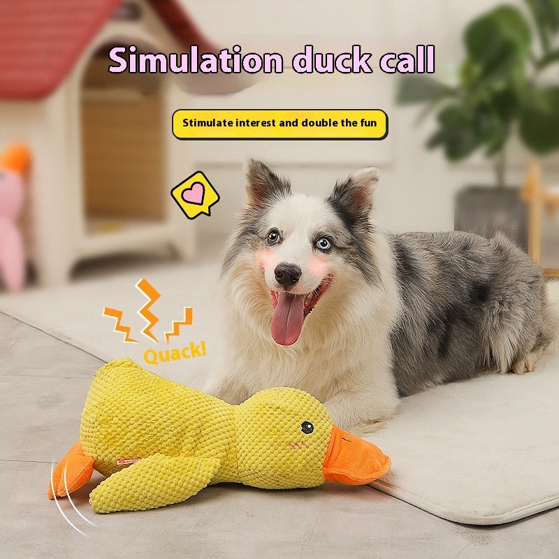 Chewing Duck Toy