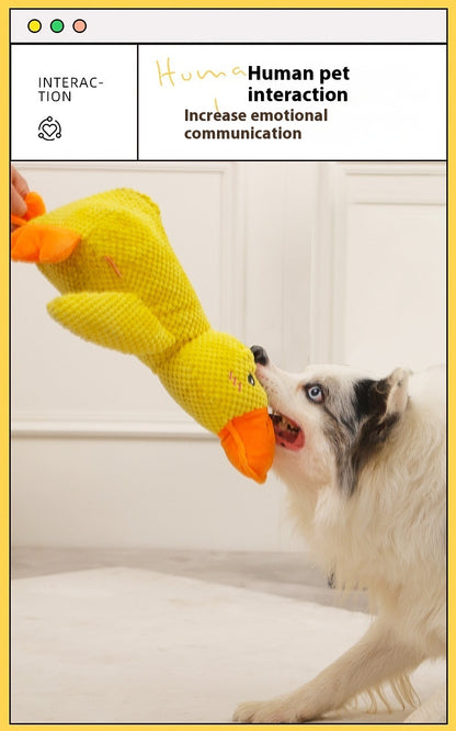 Chewing Duck Toy