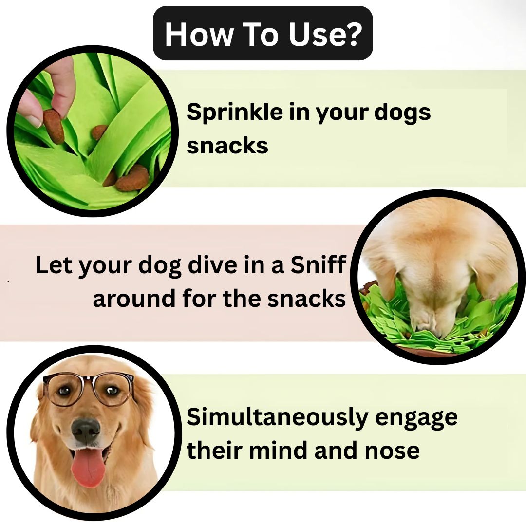SniffiJoy Mat™