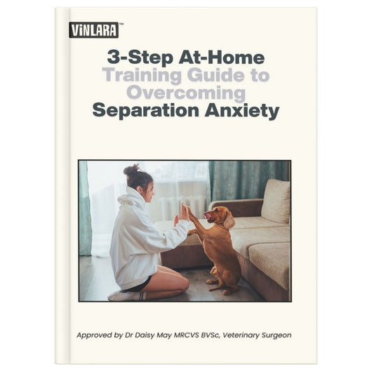 The 3-Step At-Home Training Guide