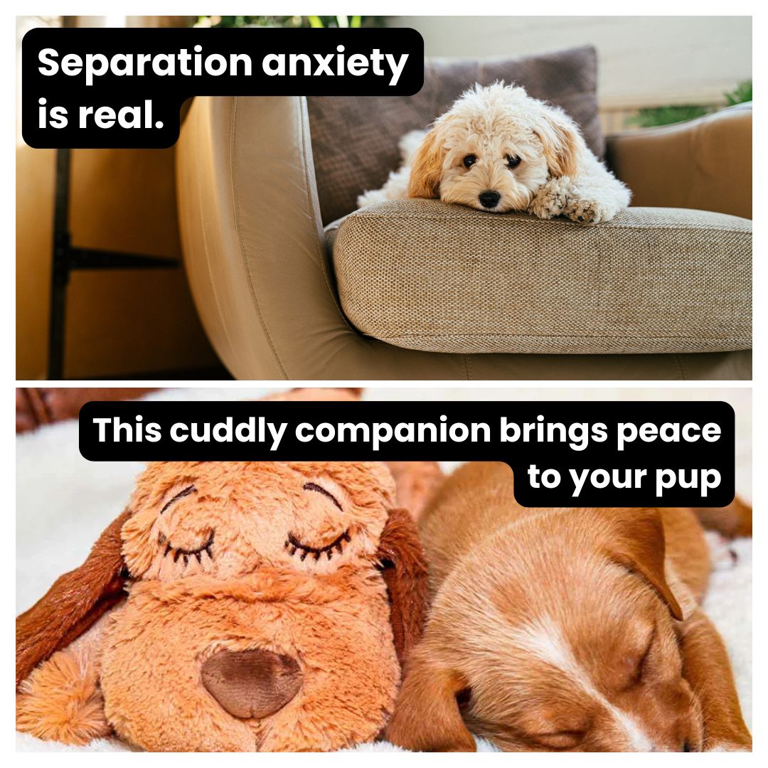 SnugglePup™ + FREE 3 Step Excessive Barking Guide