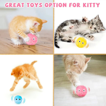 Electric Catnip Squeaky Ball