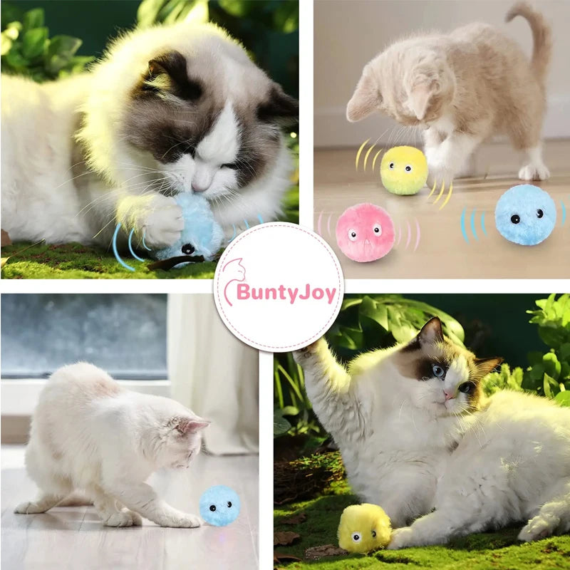 Electric Catnip Squeaky Ball