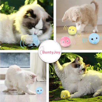 Electric Catnip Squeaky Ball