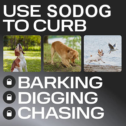 Ultrasonic Dog Device