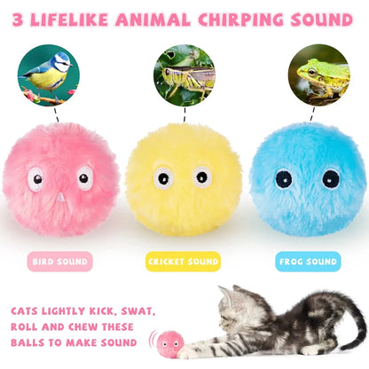 Electric Catnip Squeaky Ball