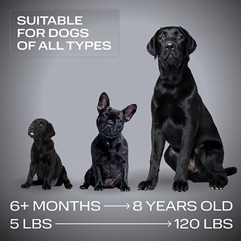 Ultrasonic Dog Device
