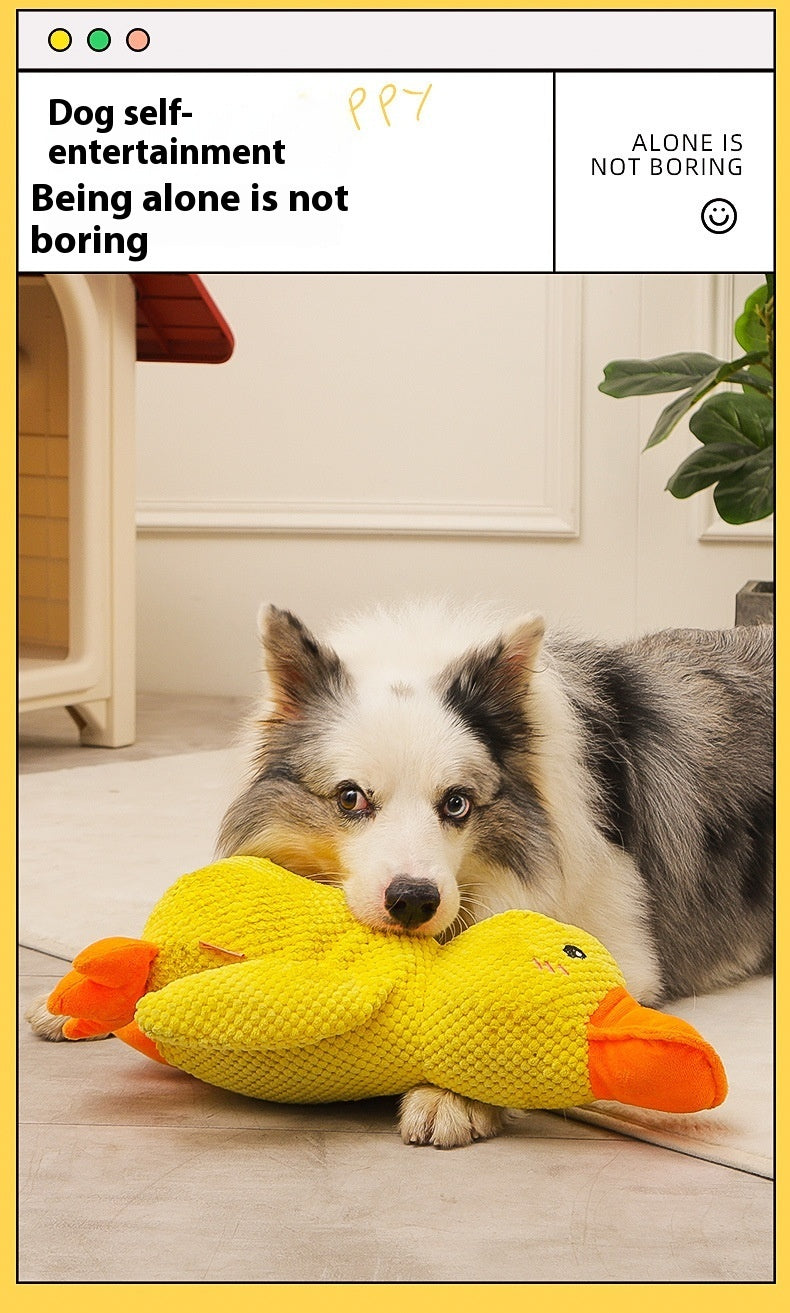Chewing Duck Toy