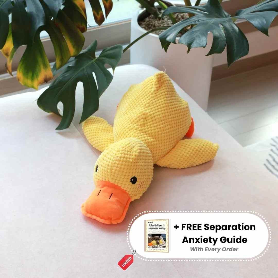 SnuggleDuck™ + FREE Separation Anxiety Guide
