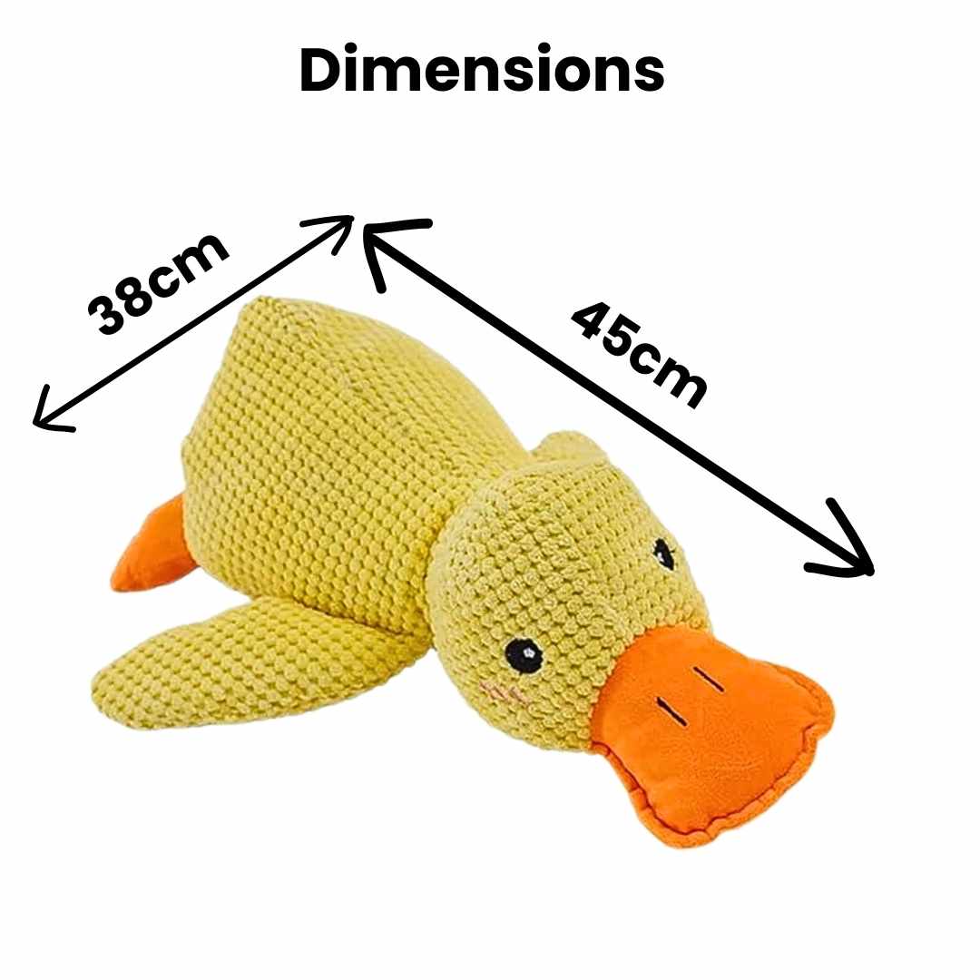 Chewing Duck Toy